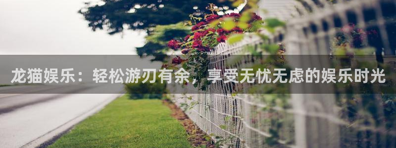 壹号平台下载安装官网：龙猫娱乐：轻松游刃有余，享受无忧无虑的娱乐时光
