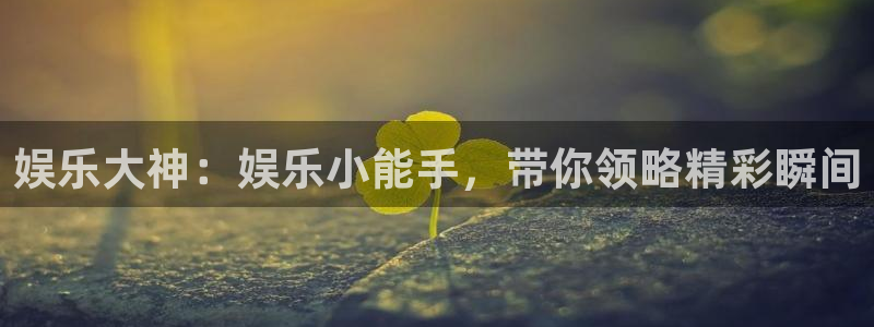 天辰娱乐游戏官网平台入口：娱乐大神：娱乐小能手，带你领略精彩瞬间