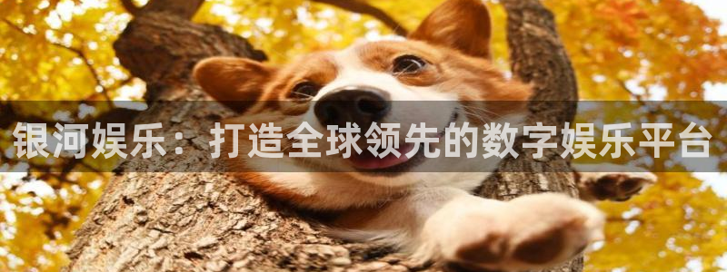 天辰娱乐.ccmpc登录：银河娱乐：打造全球领先的数字娱乐平台