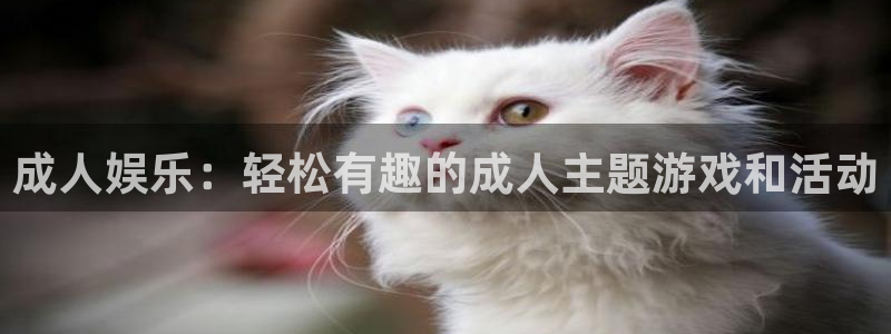 天辰娱乐是真的吗：成人娱乐：轻松有趣的成人主题游戏和活动