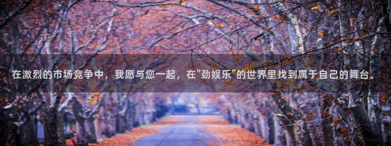 天辰娱乐注册官网入口：在激烈的市场竞争中，我愿与您一起，在\