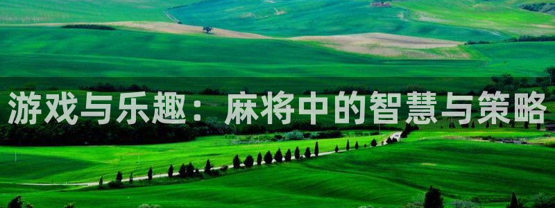 天辰娱乐可靠吗：游戏与乐趣：麻将中的智慧与策略
