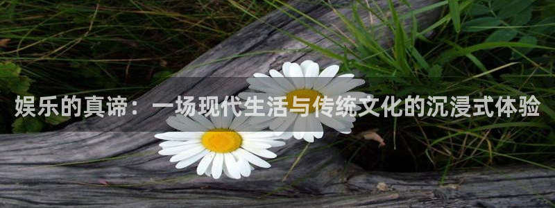 天辰娱乐软件：娱乐的真谛：一场现代生活与传统文化的沉浸式体验