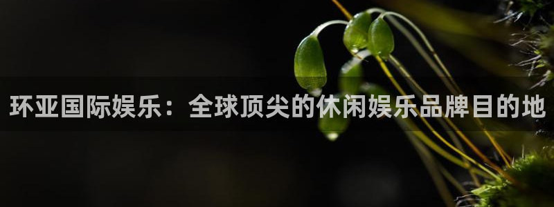 天辰娱乐是大平台吗：环亚国际娱乐：全球顶尖的休闲娱乐品牌目的地