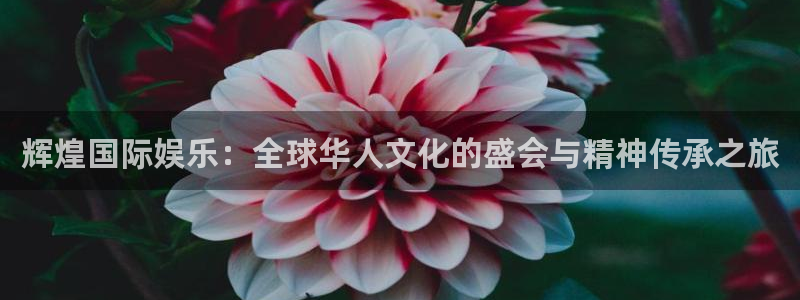 壹号电子娱乐app下载：辉煌国际娱乐：全球华人文化的盛会与精神传承之旅
