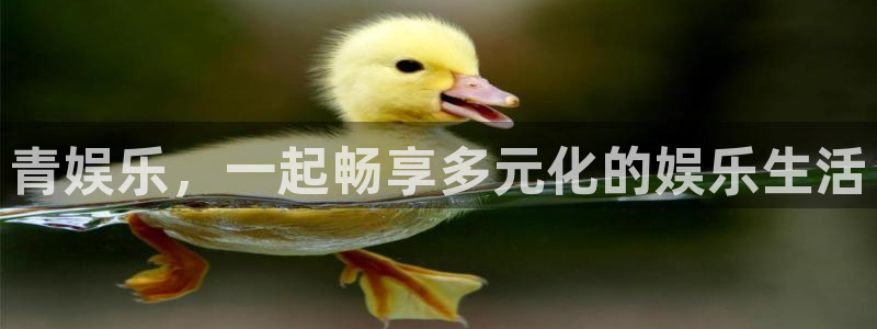 壹号app下载官方网站：青娱乐，一起畅享多元化的娱乐生活