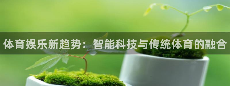 天辰娱乐官网下载