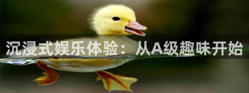 壹号电子娱乐app：沉浸式娱乐体验：从A级趣味开始
